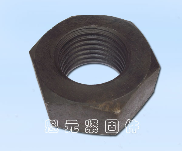 高溫高壓螺母30CrMo